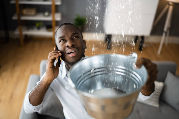 Best Water damage repair service  in Union, MO