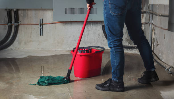 Best Fire Damage Restoration  in Union, MO