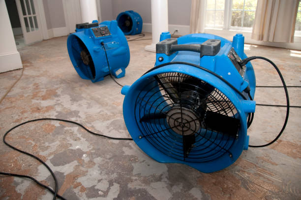 Best Basement water damage restoration  in Union, MO