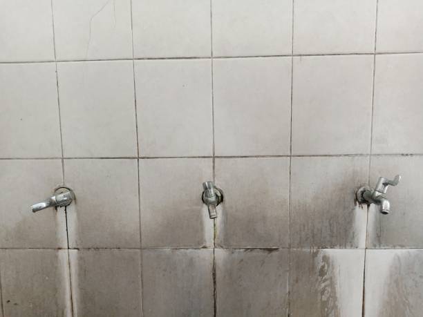 Best Sewage cleanup and water damage restoration  in Union, MO