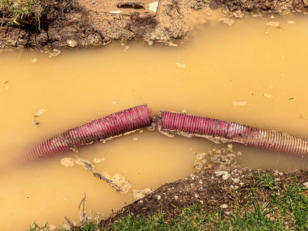  Union, MO Water damage restoration Pros