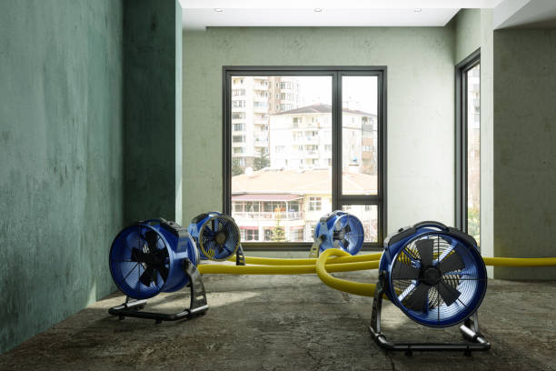 Best Water damage contractors near me  in Union, MO