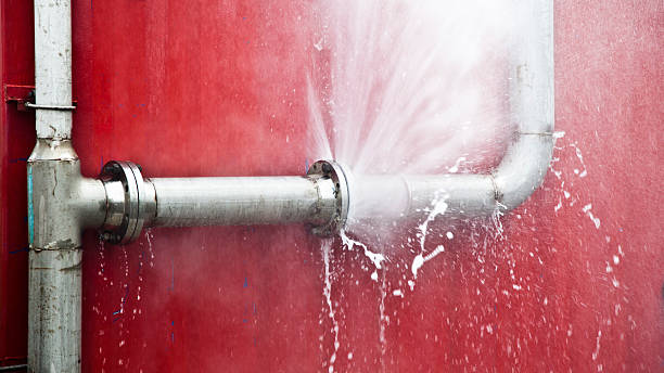 Best Flooded house restoration  in Union, MO